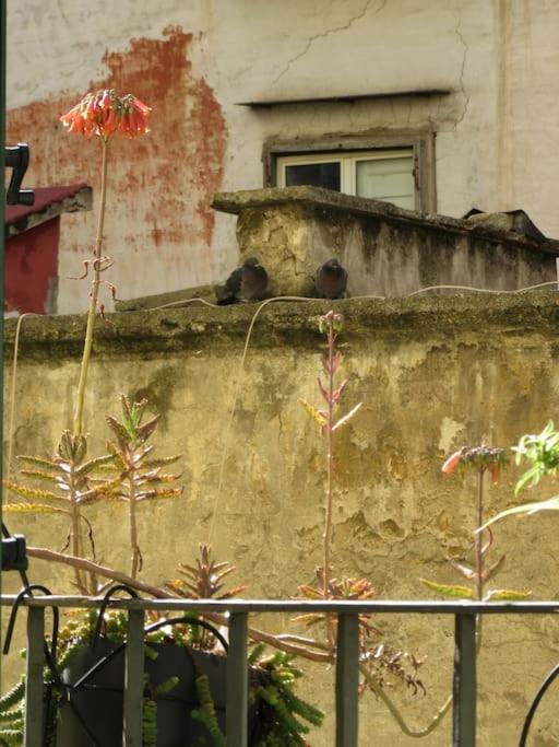 4p Casa Appartamento Napoli